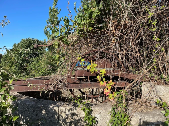 Terreno para Venda em Alcains Foto 15