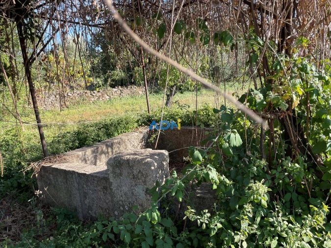 Terreno para Venda em Alcains Foto 16