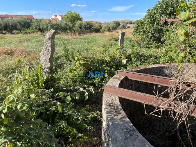 Terreno para Venda em Alcains Foto 18
