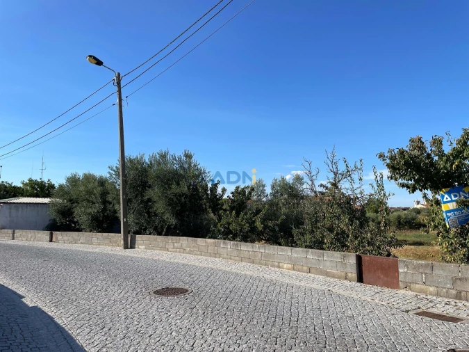 Terreno para Venda em Alcains Foto 6