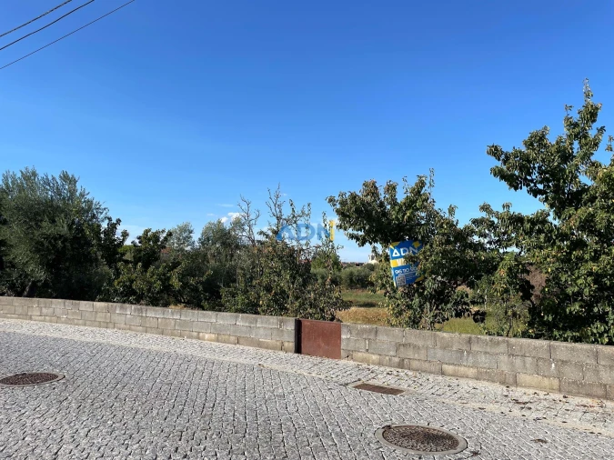 Terreno para Venda em Alcains Foto 5