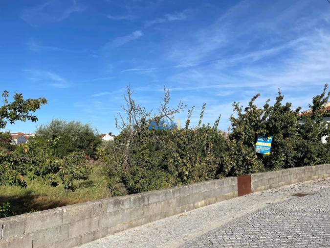 Terreno para Venda em Alcains Foto 9