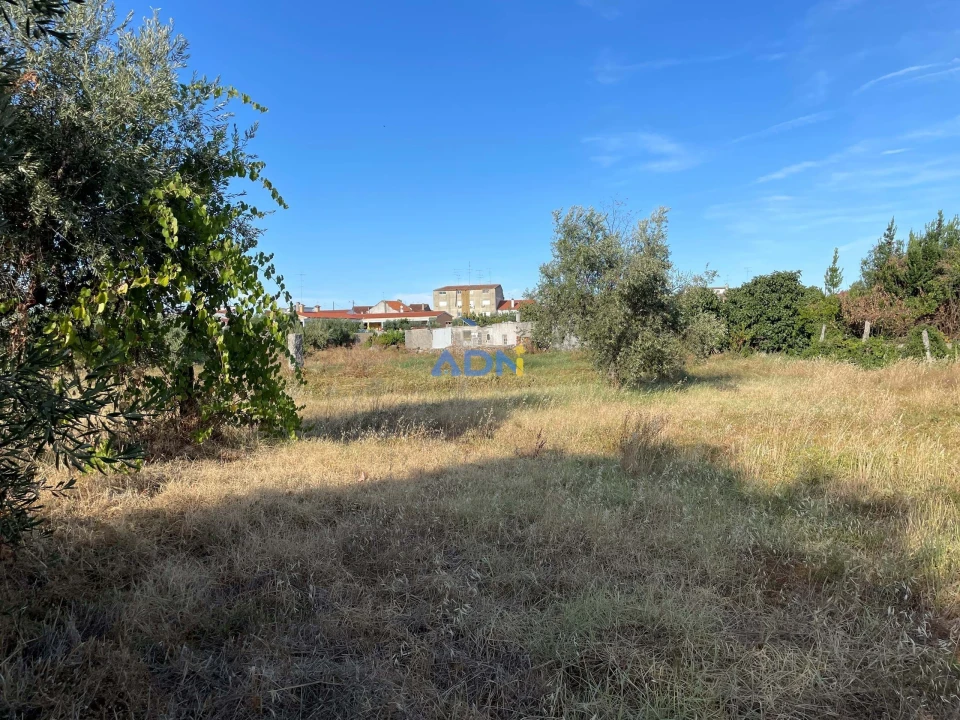 Terreno para Venda em Alcains Foto 13