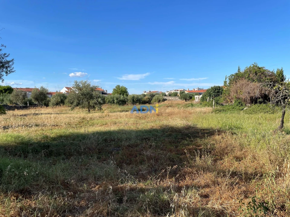 Terreno para Venda em Alcains Foto 10