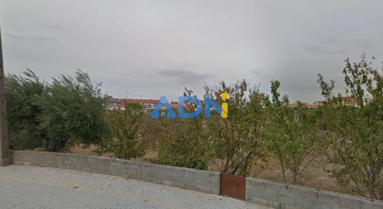 Terreno para Venda em Alcains Foto 3