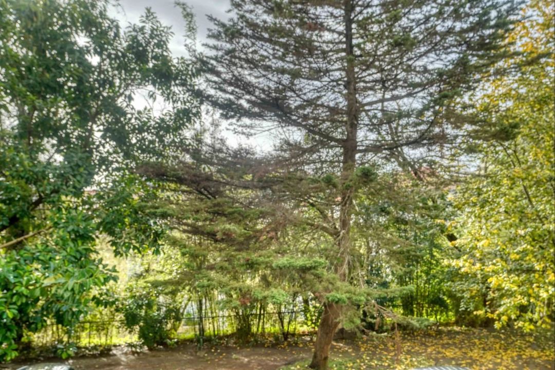 Apartamento T4 para Arrendamento em Campo de Ourique Foto 44