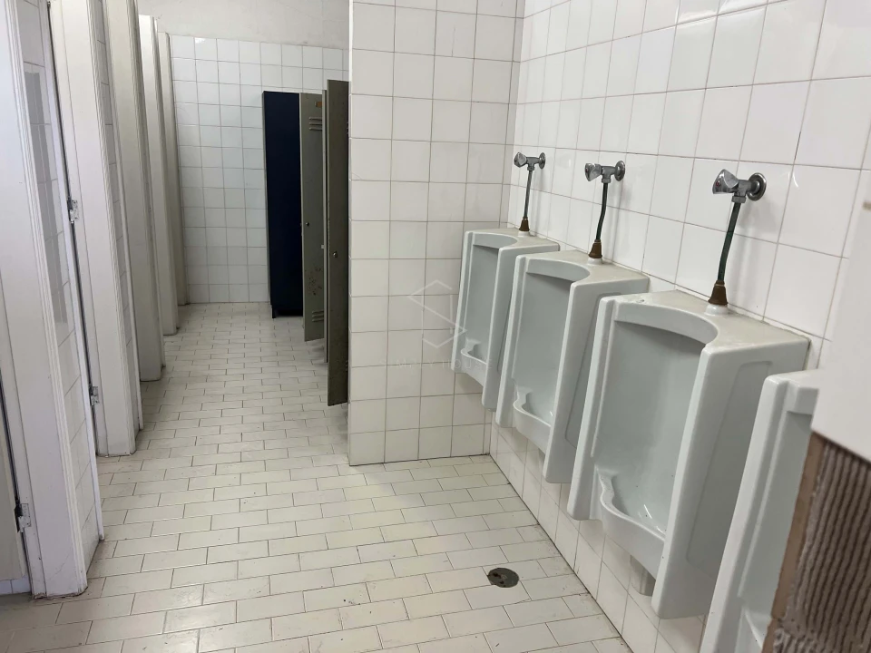 Armazém para Venda em Benedita Foto 27