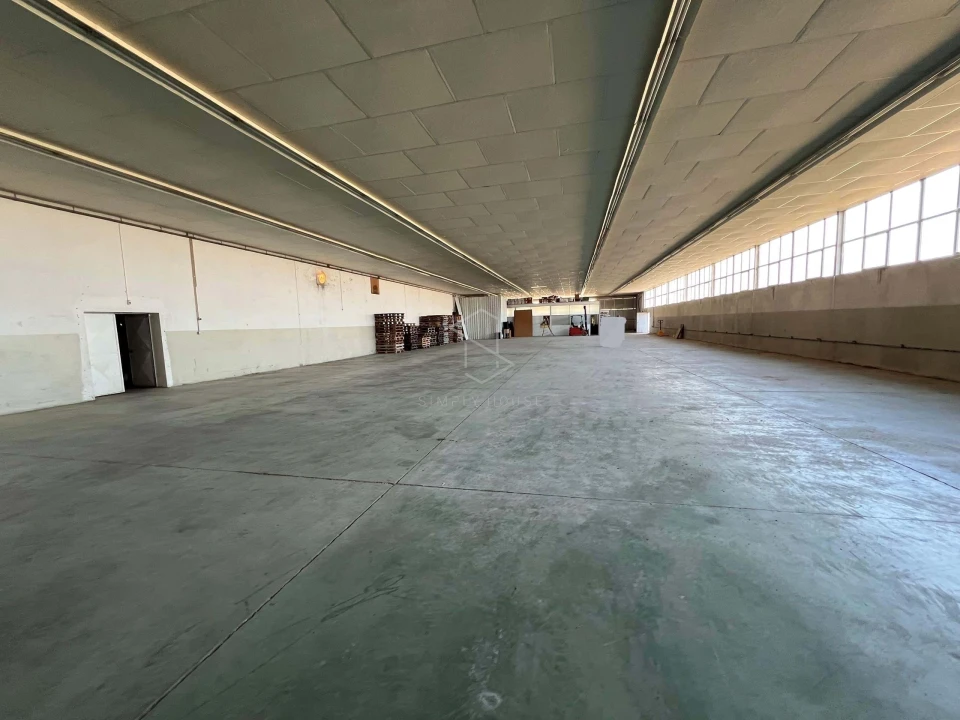 Armazém para Venda em Benedita Foto 40