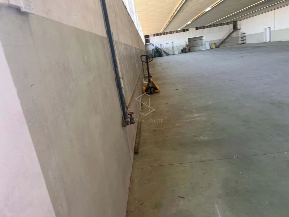 Armazém para Venda em Benedita Foto 45