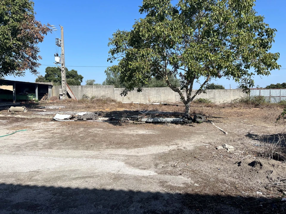 Armazém para Venda em Benedita Foto 50