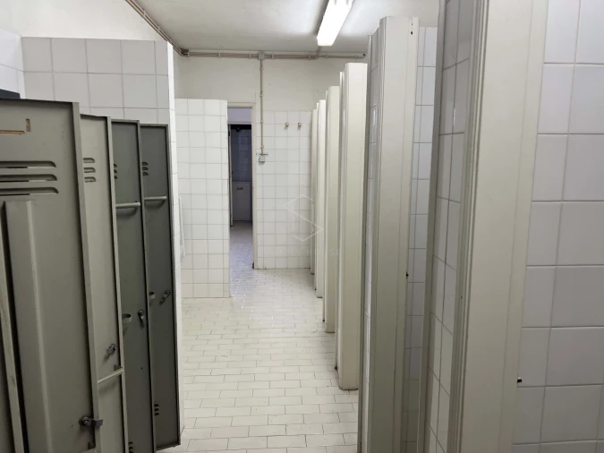 Armazém para Venda em Benedita Foto 30