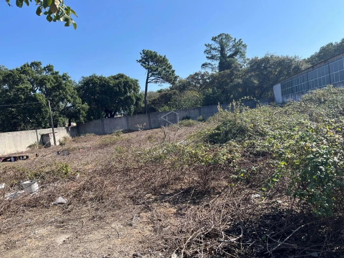 Armazém para Venda em Benedita Foto 53