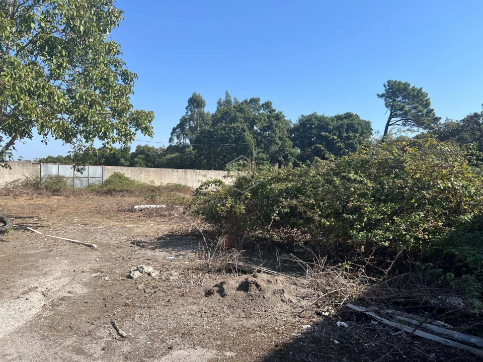 Armazém para Venda em Benedita Foto 53