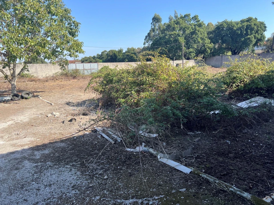 Armazém para Venda em Benedita Foto 51
