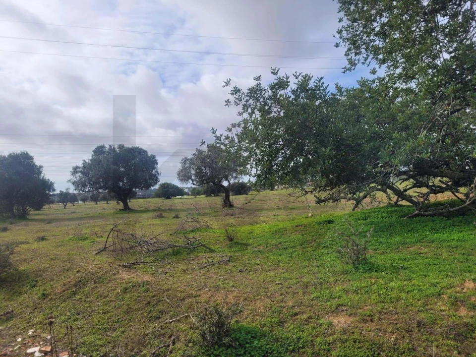 Terreno para Venda em Silves Foto 3