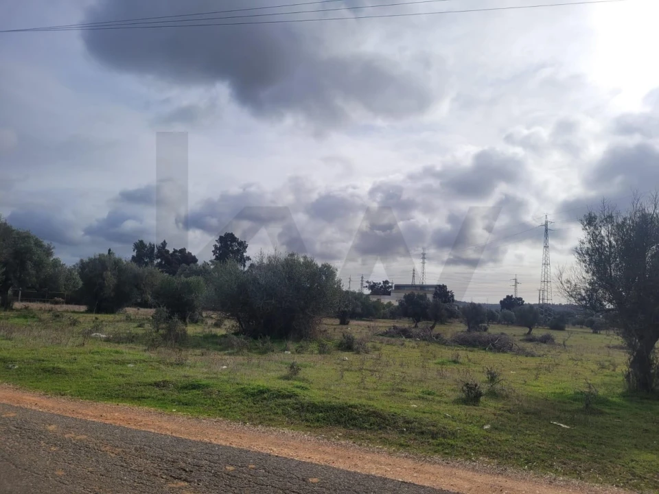 Terreno para Venda em Silves Foto 9