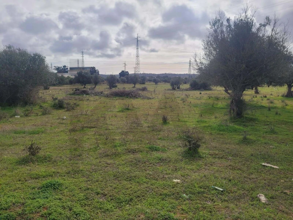 Terreno para Venda em Silves Foto 10