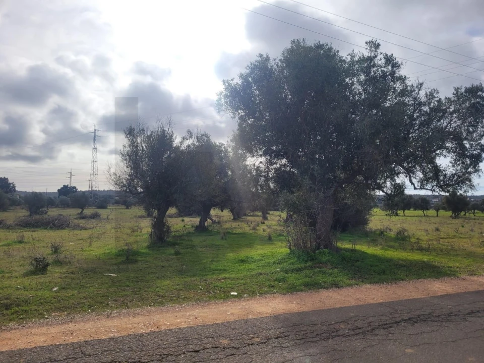 Terreno para Venda em Silves Foto 11