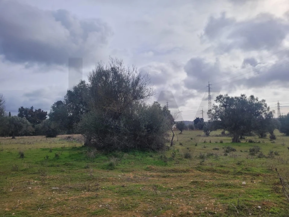 Terreno para Venda em Silves Foto 6