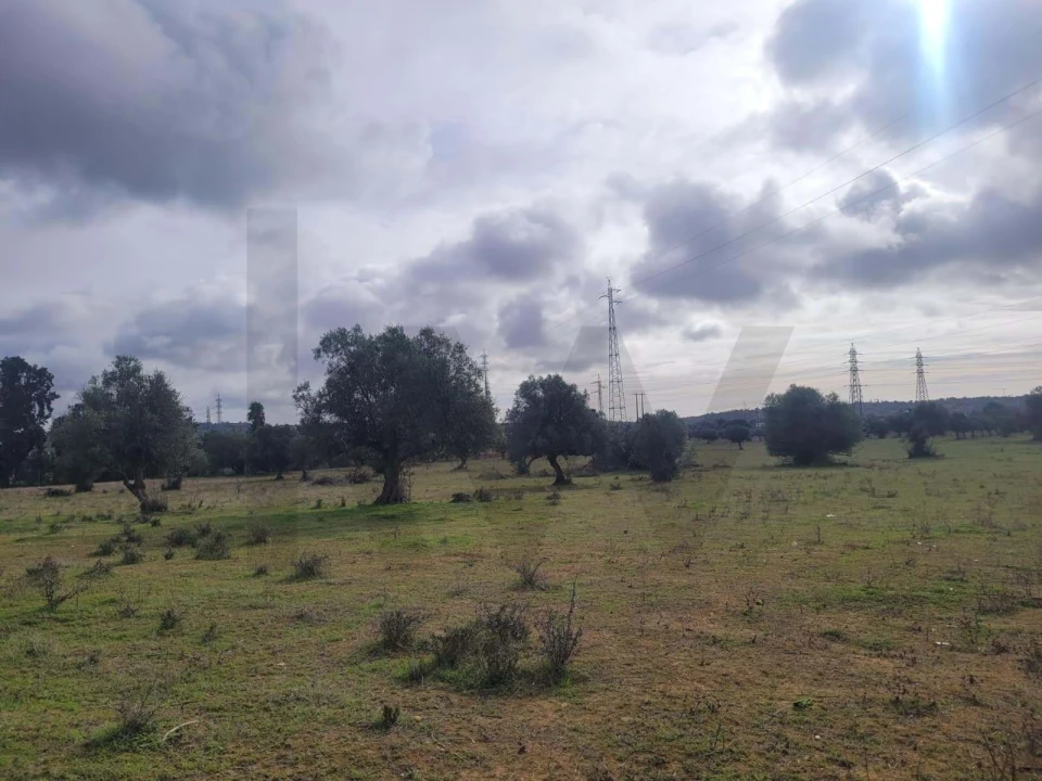 Terreno para Venda em Silves Foto 13