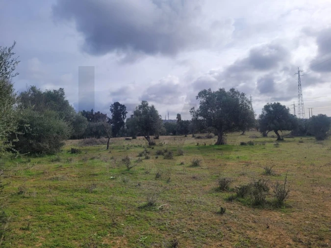 Terreno para Venda em São Silvestre Foto 12