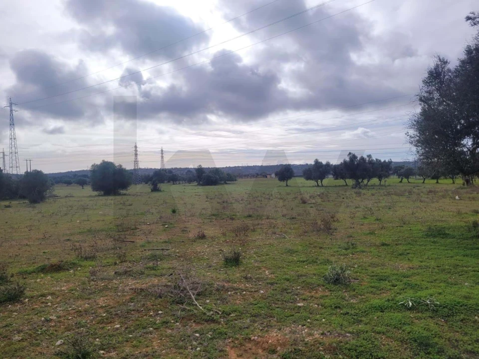 Terreno para Venda em Silves Foto 1