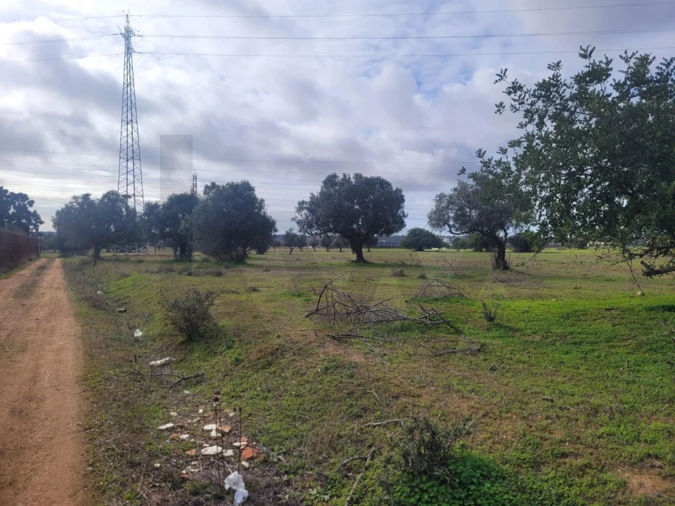 Terreno para Venda em Silves Foto 4