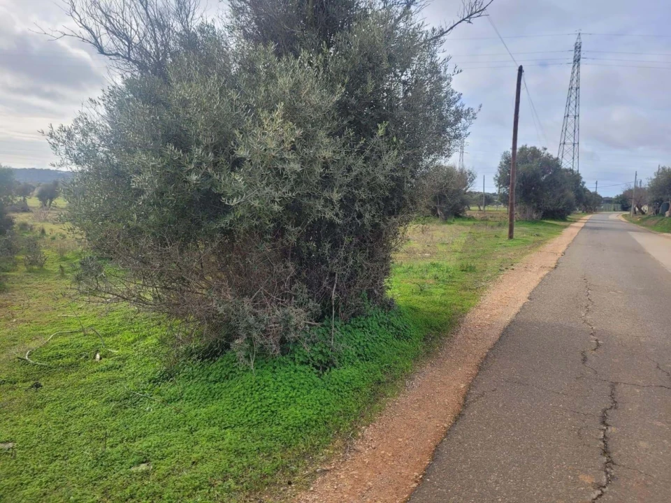 Terreno para Venda em Silves Foto 7
