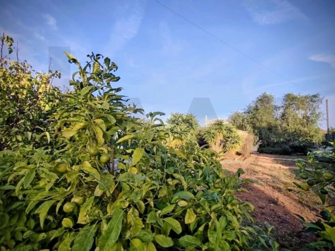 Moradia T4 para Venda em Vila Nova de Cacela Foto 45