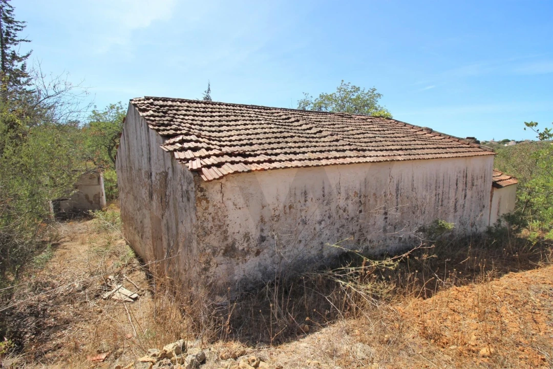 Terreno para Venda em Silves Foto 11