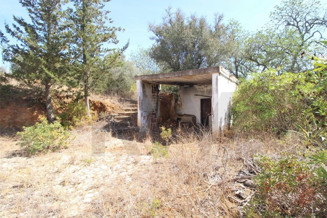 Terreno para Venda em Silves Foto 3