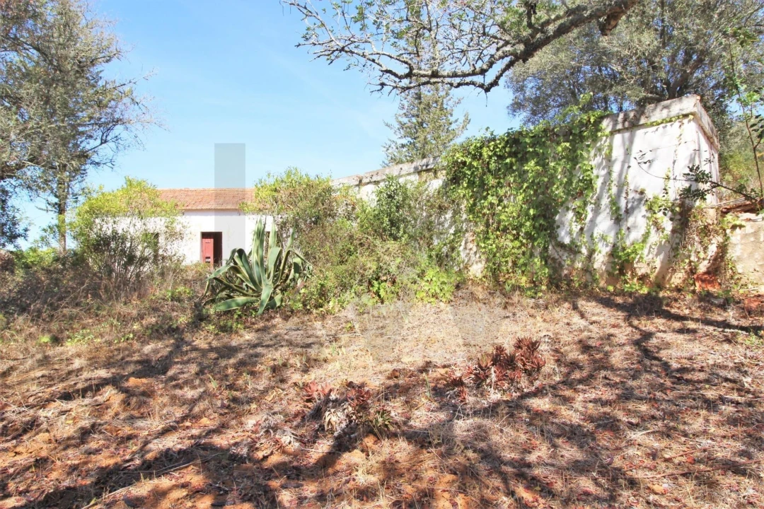 Terreno para Venda em Silves Foto 18