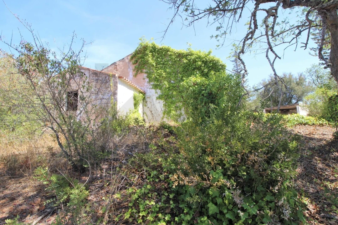Terreno para Venda em Silves Foto 14