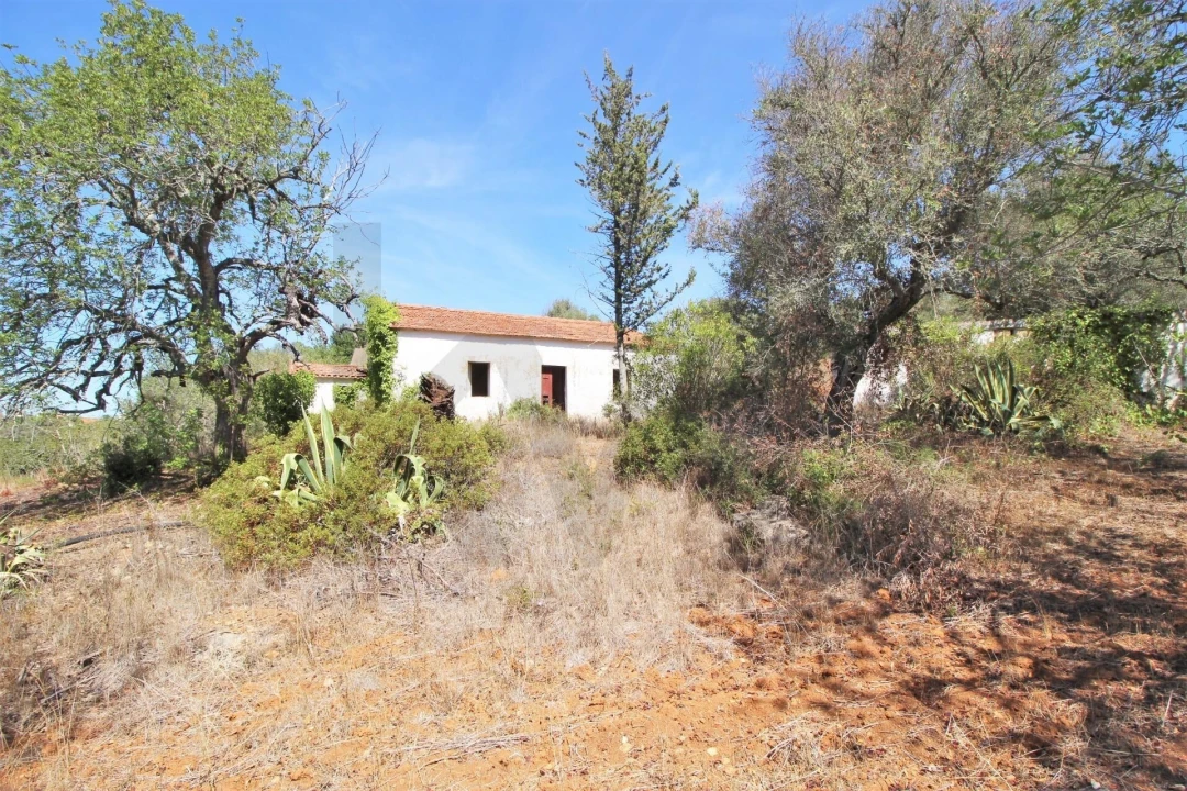 Terreno para Venda em Silves Foto 17