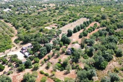 Terreno para Venda em Silves