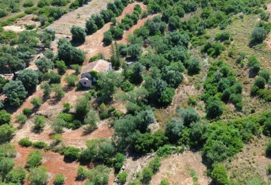 Terreno para Venda em Silves
