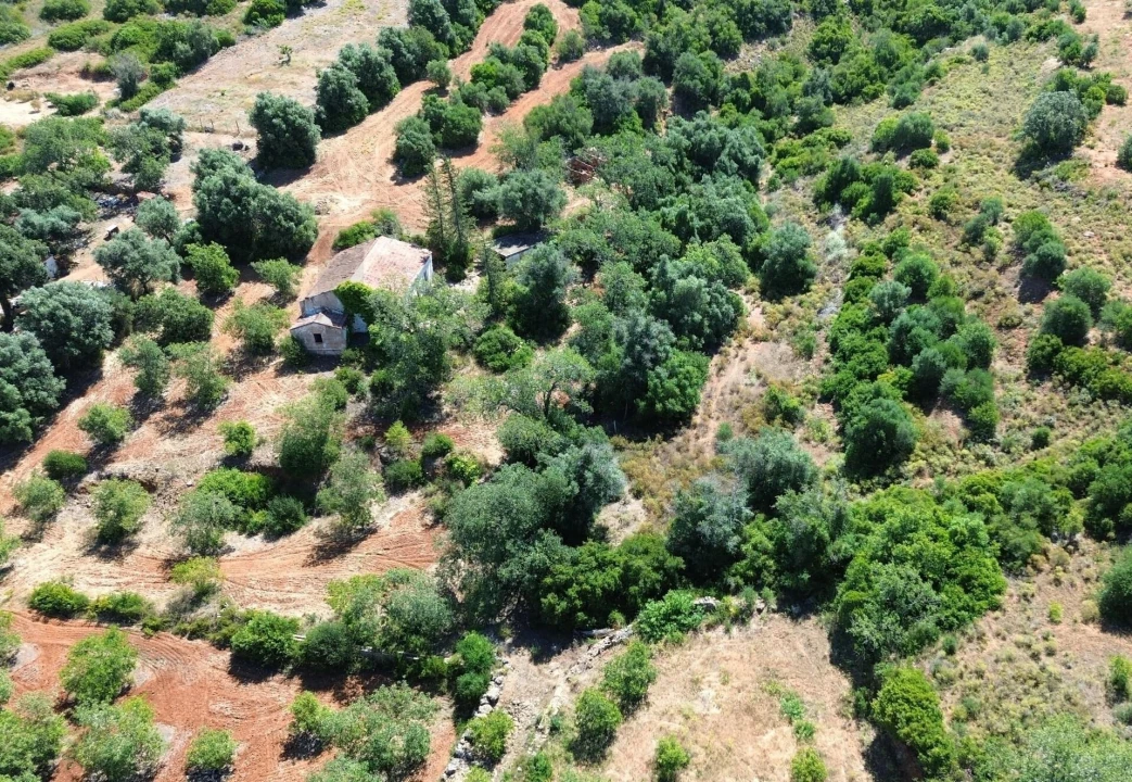 Terreno para Venda em Silves Foto 2