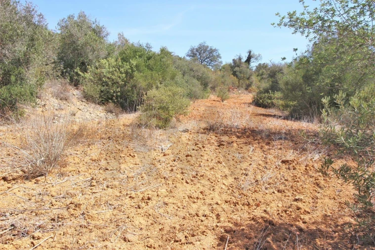 Terreno para Venda em São Silvestre Foto 23