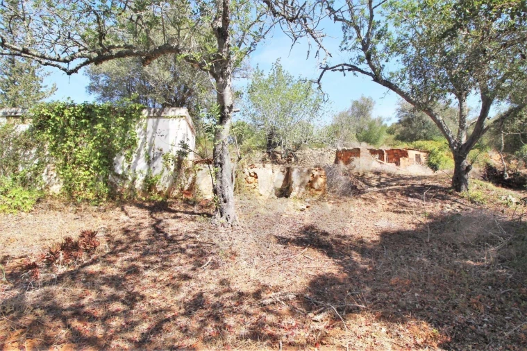 Terreno para Venda em São Silvestre Foto 16
