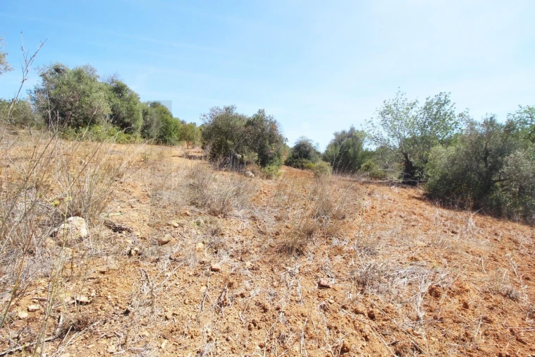 Terreno para Venda em São Silvestre Foto 7