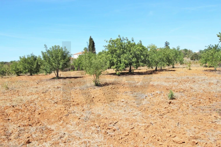 Terreno para Venda em São Silvestre Foto 29