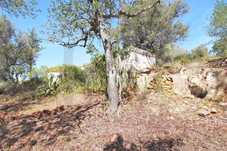 Terreno para Venda em São Silvestre Foto 17