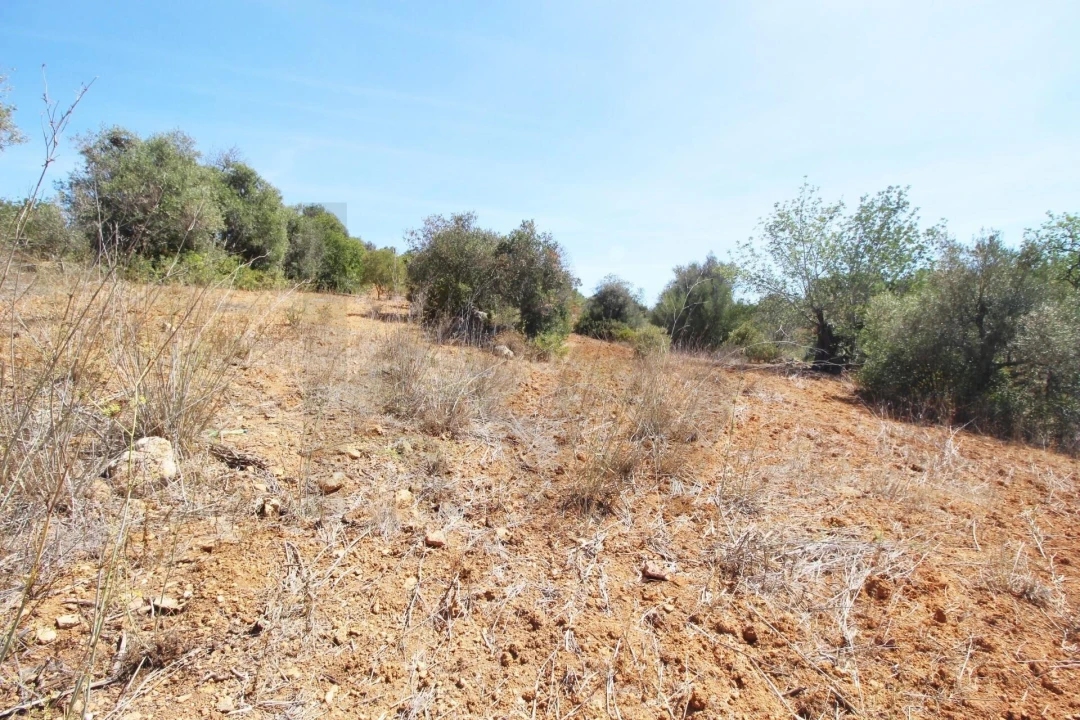 Terreno para Venda em Silves Foto 10