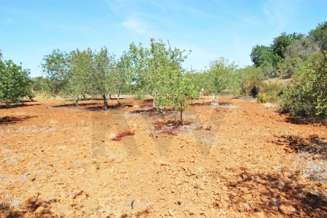 Terreno para Venda em Silves Foto 28