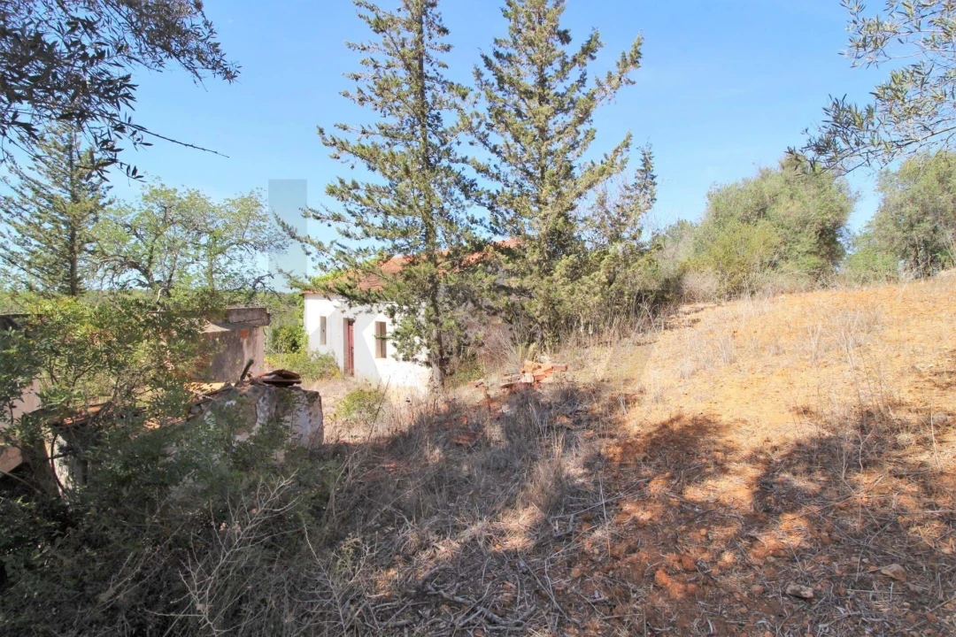 Terreno para Venda em Silves Foto 24