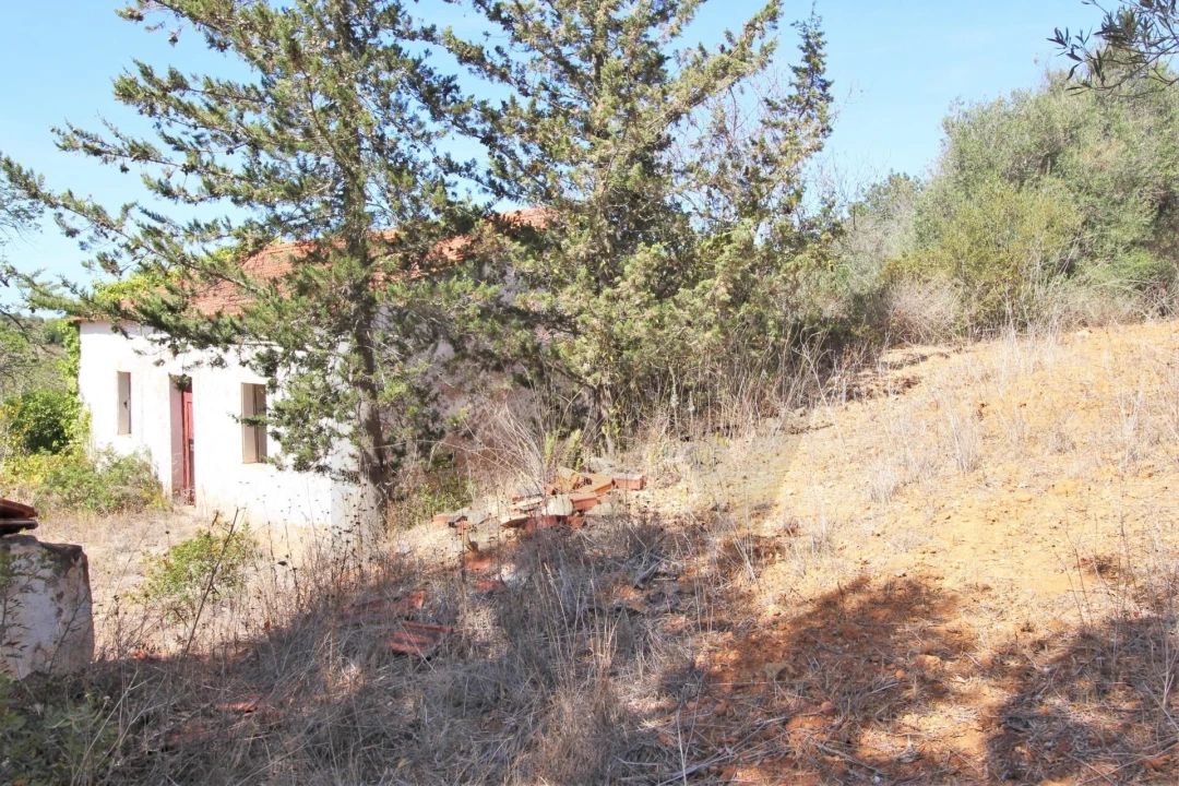 Terreno para Venda em Silves Foto 25