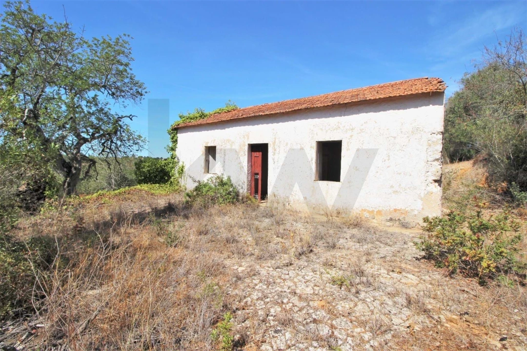 Terreno para Venda em Silves Foto 4