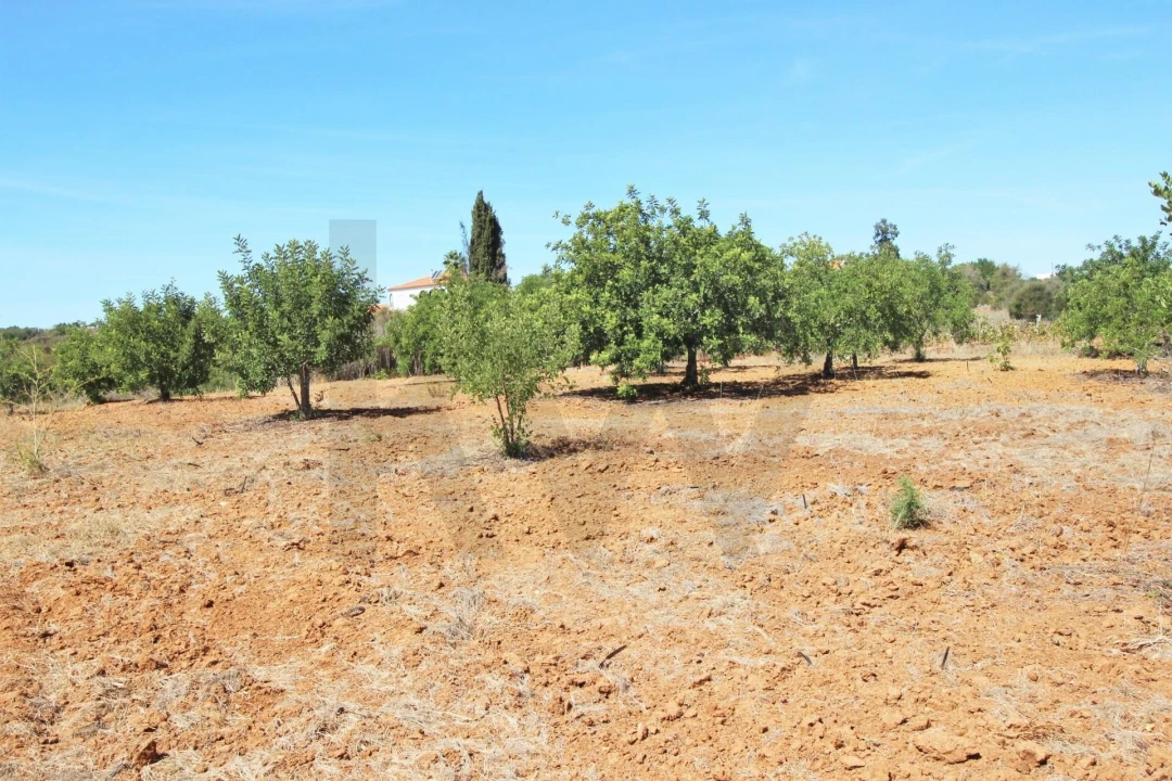 Terreno para Venda em Silves Foto 32