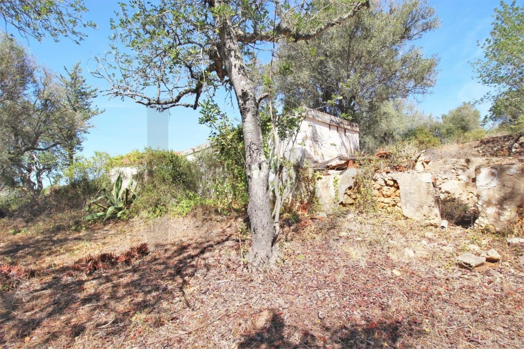 Terreno para Venda em Silves Foto 20