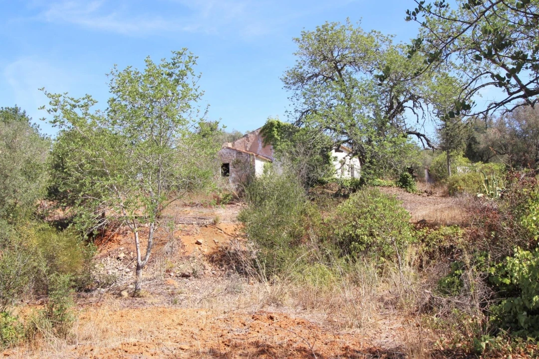 Terreno para Venda em Silves Foto 27